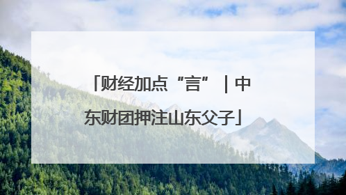 财经加点“言”｜中东财团押注山东父子